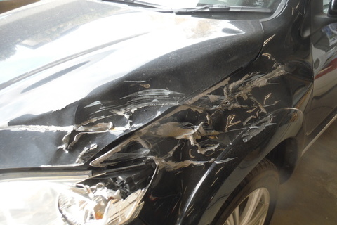 トヨタ ヴァンガード 保険事故修理　左フロントフェンダー フード破損 鈑金塗装　キズ　修理　印西市 Ｎ様